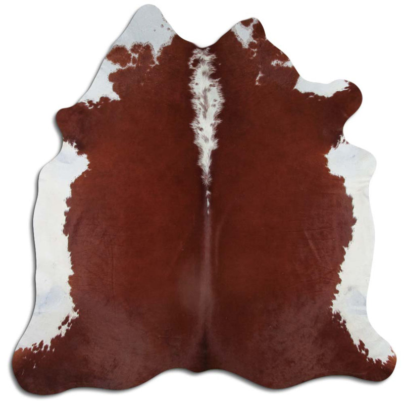 Hereford Colona