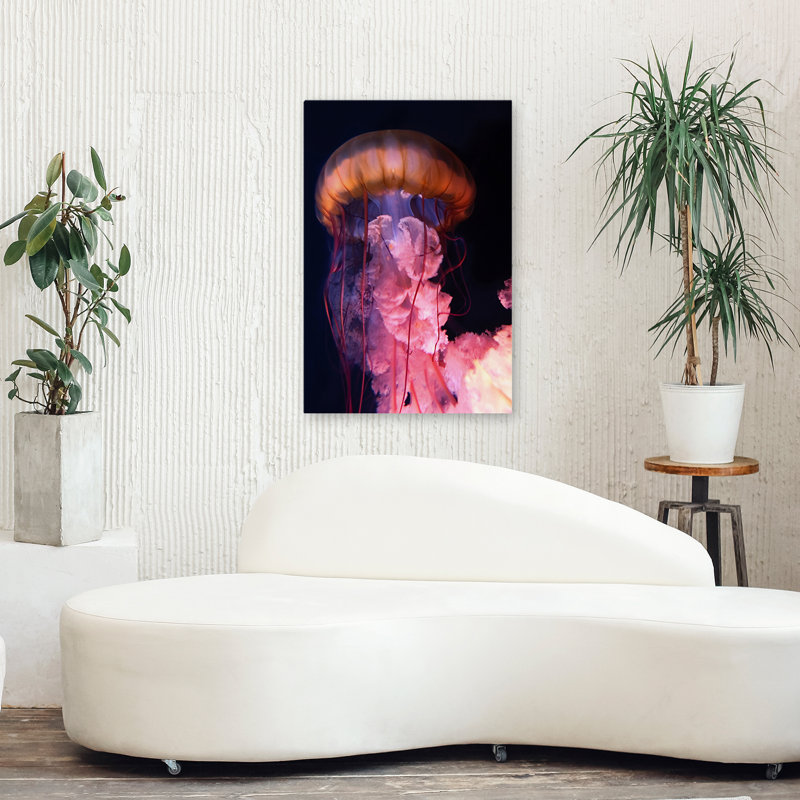 Gelly - photographie d'art animalier, H 36 po x l 24 po