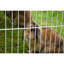 Weather Resistant Small Animal Playpen
