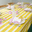 Lily Striped Tablecloth-2050543745