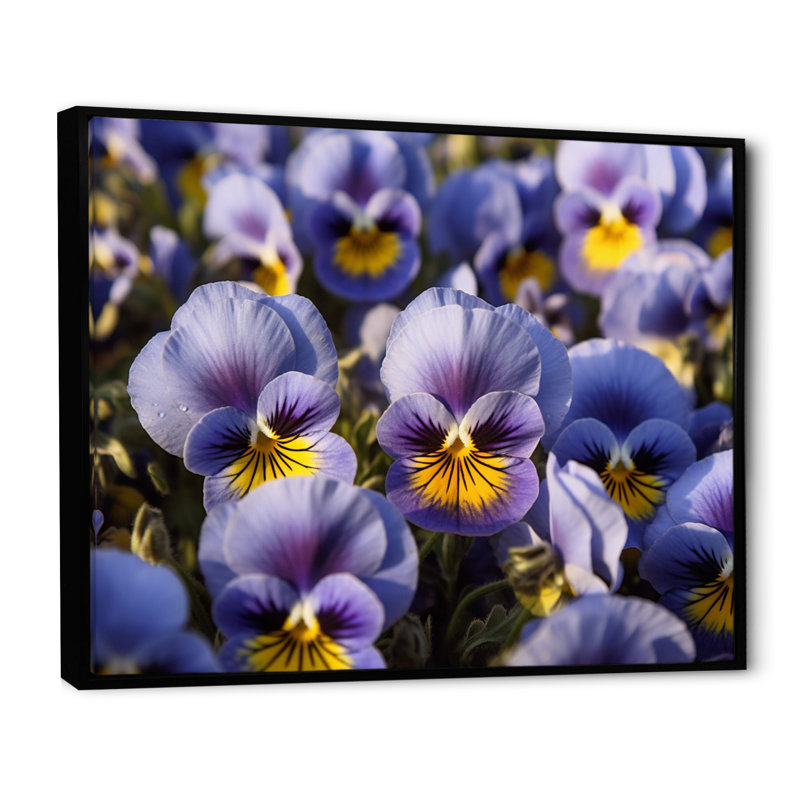 «Purple Yellow Pansies Harmony II», reproduction sur toile, Cadre flottant noir, H 30 po x l 40 po x P 1,5 po