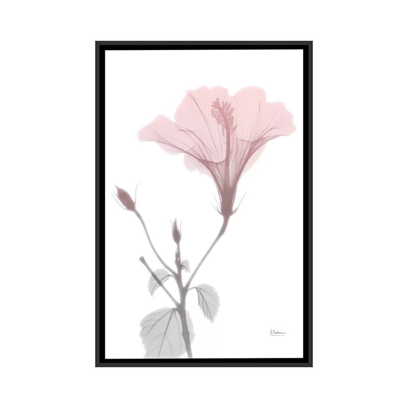 «Hibiscus Pink» par Albert Koetsier, reproduction d'art graphique sur toile, H 26 po x l 18 po x P 1,5 po, Pas de tapis