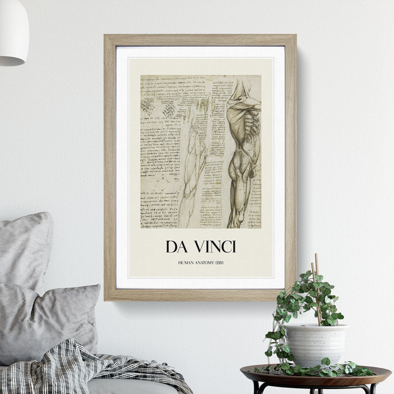 Human Anatomy Vol.6 by Leonardo Da Vinci - Picture Frame Drawing, 36cm H x 27cm W x 2cm D, Oak Framed