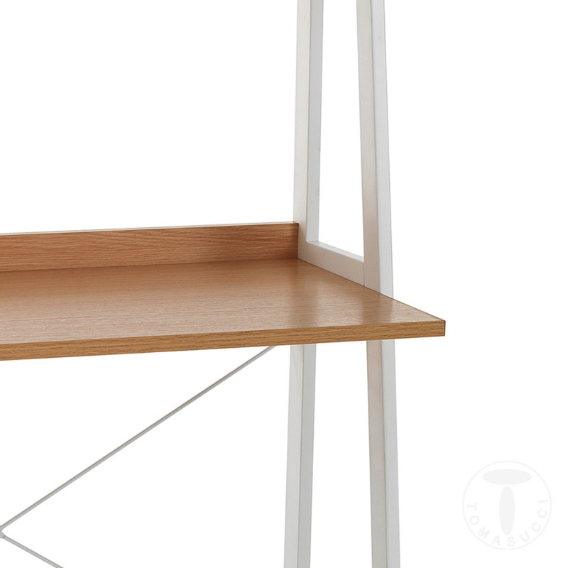 Haileyrose Desk