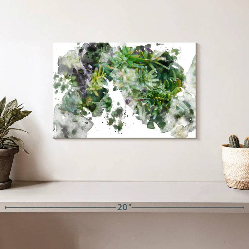 Plante grasse Harnek, H 8 po x l 12 po