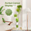 Plant Stand-114288591