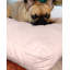 Orthopedic Memory Foam Pet Bed-1520193522-1520193526