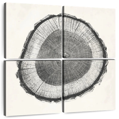 Avery Tree Ring II