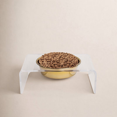 Single Bowl Elevated Feeder with Bowl