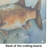 Brown Trout Glass Cutting Board Large