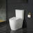 Essence 1.28 GPF (Water Efficient) Elongated Two-Piece Toilet (Seat Included)