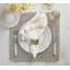 Fringe Placemat in Gold/Silver