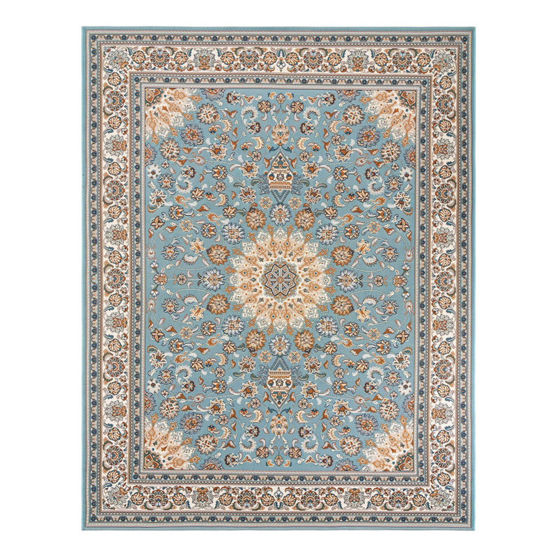 Indoor/Outdoor Traditional Area Rug, Rectangle 7'10" x 10'