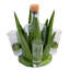Bouteille et porte-dose Agave Reserve vert vif-2087838470
