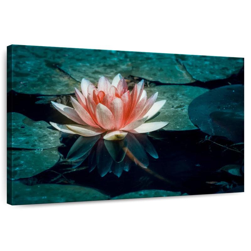 Reflet de nénuphar, H 20 po x l 30 po