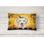  Coussin intérieur / extérieur Halloween Golden Retriever