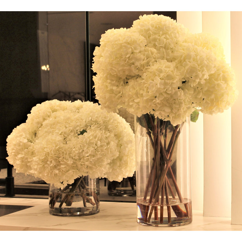 White Hydrangeas In Clear Glass Cylinder Vase, 16" H x 18" W x 18" D, White