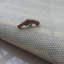 Tapis de salle de bain Tapis de salle de bain antidérapant vert-2031777026