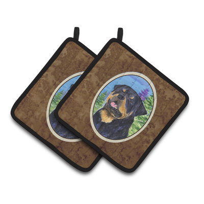 Rottweiler avec manguier Winston porter
