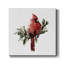 Cardinal avec neige I sur toile-1901026681