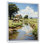Tamecca Cow Farmstead Serenity, reproduction d'art sur toile