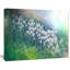 Mountain Plain with Little Flowers - Reproduction de photo sur toile tendue-19407243