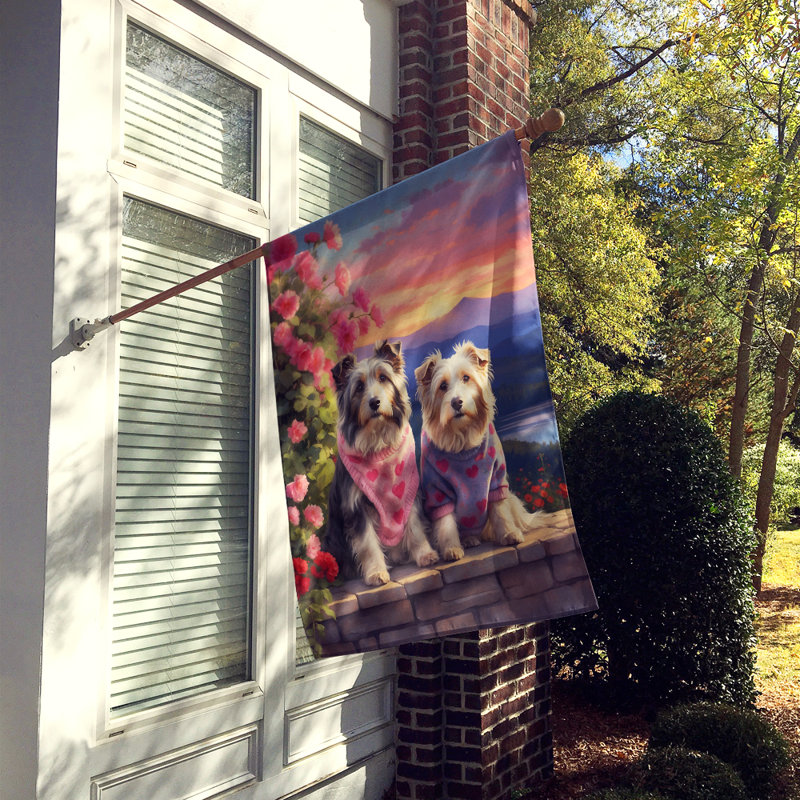 Drapeau pour chien double face H 40 po x l 28 po