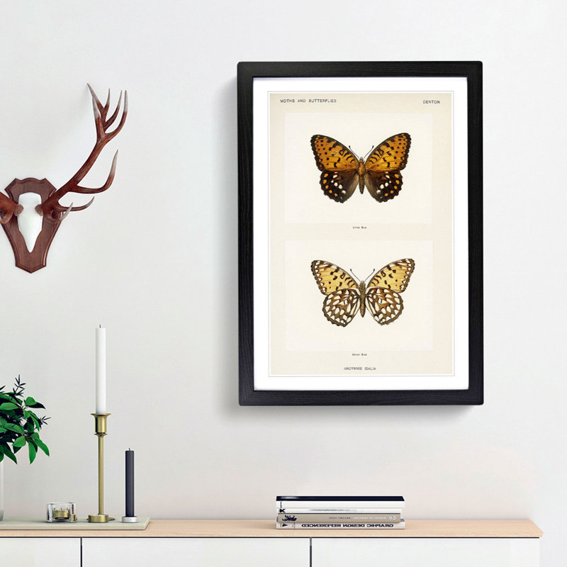 Regal Fritillary Butterfly by S.F. Denton - Picture Frame Painting Print, 65cm H x 48cm W x 2cm D, Black Framed
