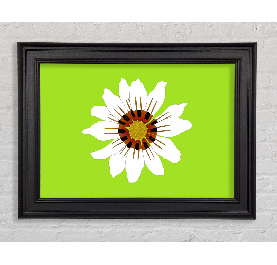 White Daisy Greens Gerahmter Druck