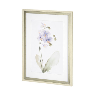 Orchidée par Gabrielle Campbell, reproduction d'art encadrée sous verre