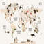 Collection de cartes de faune sauvage-509254265