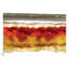" Wholeheartedly " by Rachel Springer-20812613-72690136-72690137