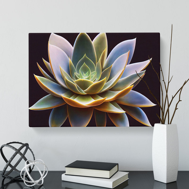 Compelling Succulent Plant - Wrapped Canvas Print, 35cm H x 50cm W x 3cm D