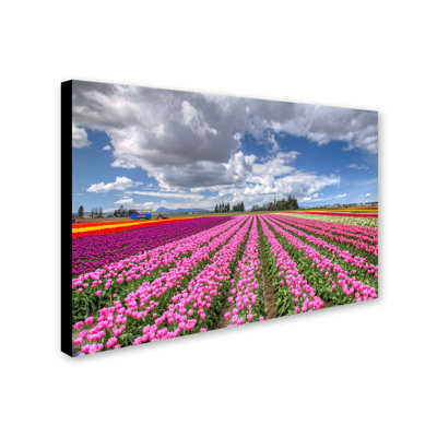 «Tulip Field», reproduction de photo sur toile tendue