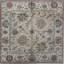 Wool Oriental Area Rug