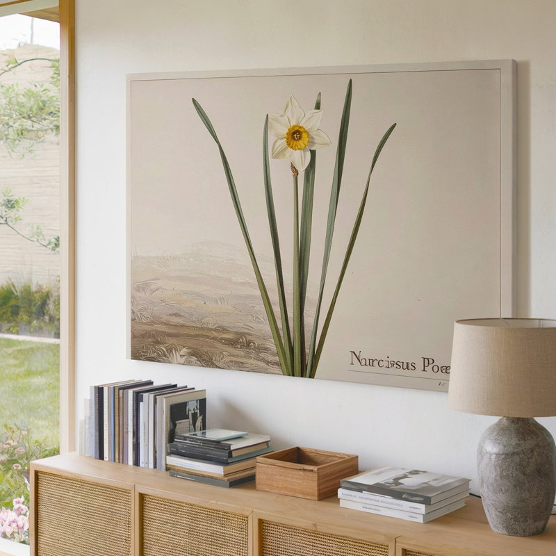 Toile, art mural Narcissus Poeticus, H 9 po x l 12 po