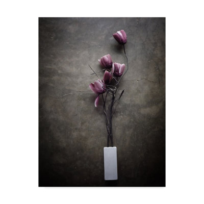 «The Purple Tulip» par Kahar Lagaa, reproduction de photo sur toile