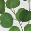 Branche d'eucalyptus artificiel vert Audet (1 tige)