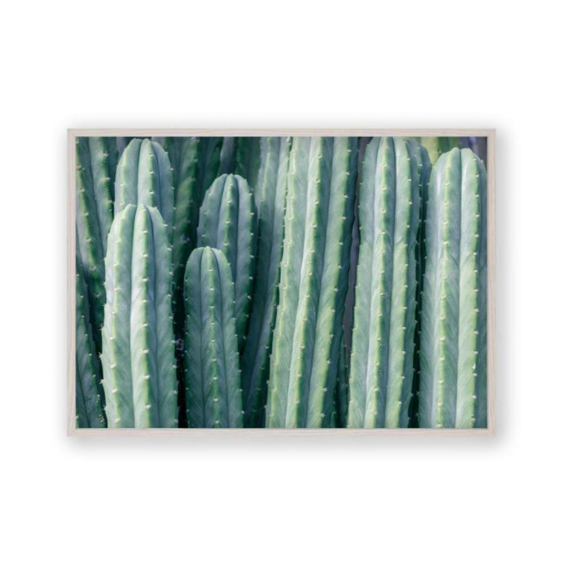 Print, 22 cm H x 31 cm W x 2.5 cm D, White Oak Frame