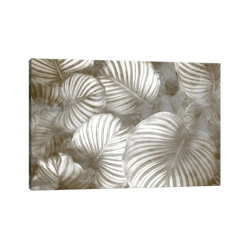 Beige Palms by Kimberly Allen - Wrapped Canvas Print, 101.6 cm H x 66.04 cm W x 3.175 cm D