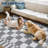 Checkered Rug for Living Room Washable Bedroom Rugs Non Slip Back Modern Classic Area Rug for Kids Boys Bedroom Home Decor Carpet for Dining Room Office-434211345-434211343