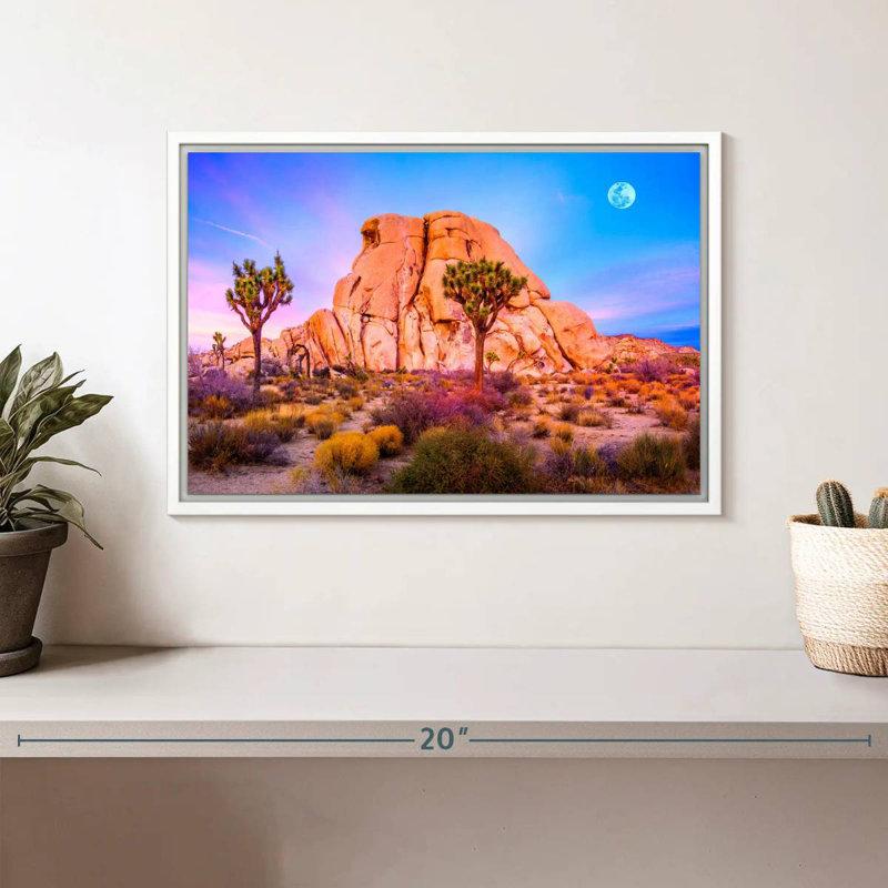 Joshua Tree National Park, Cadre flottant blanc, 13 po x 9 po