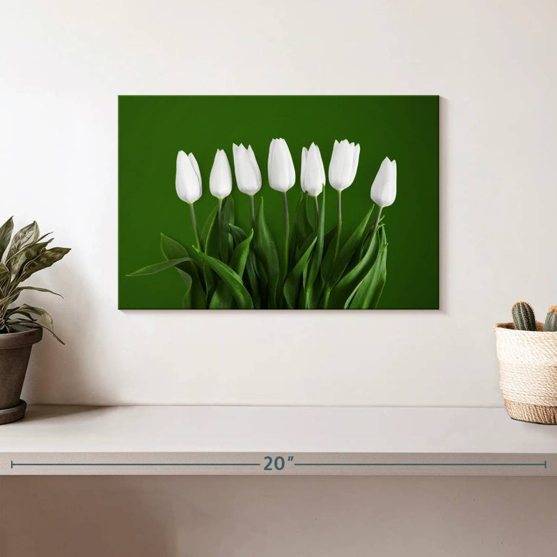 Tulipes blanches Harnek, H 8 po x l 12 po