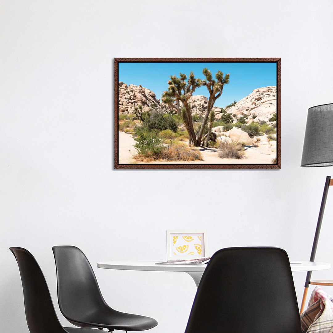 Amerikanischer Westen - Joshua Tree Wüste von Philippe Hugonnard - Galerie-umwickelte Leinwand Giclée auf Leinwand