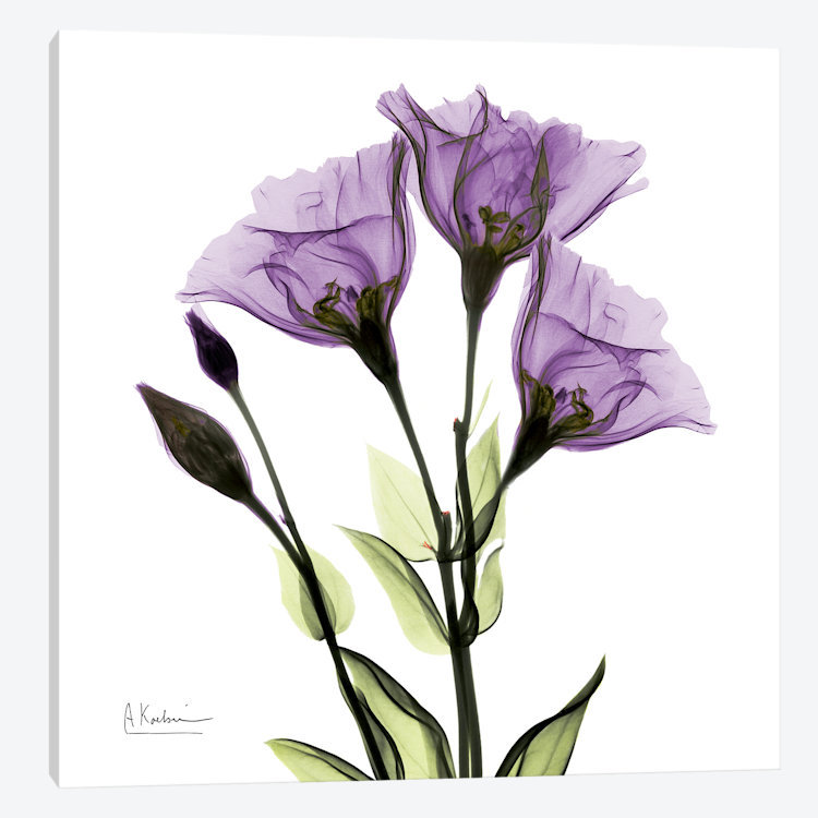 « de la croire », impression sur toile, H 12 po x l 12 po x P 1,5 po, Pas de tapis, Toile tendue