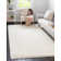 Indoor Rug