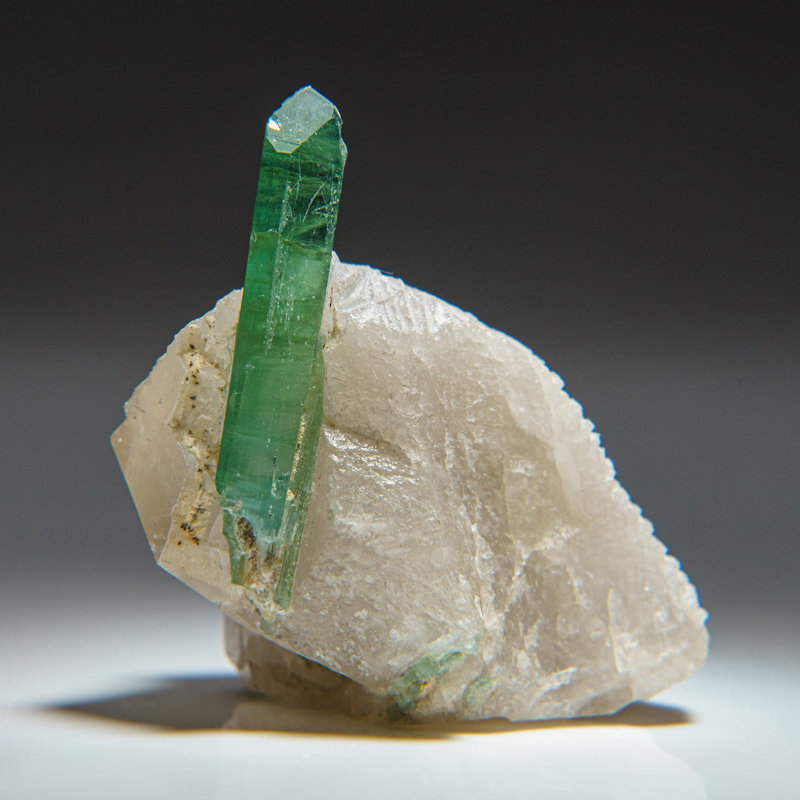 Tourmaline verte dans le quartz du quartier de Gilgit, Gilgit-Baltistan, Pakistan