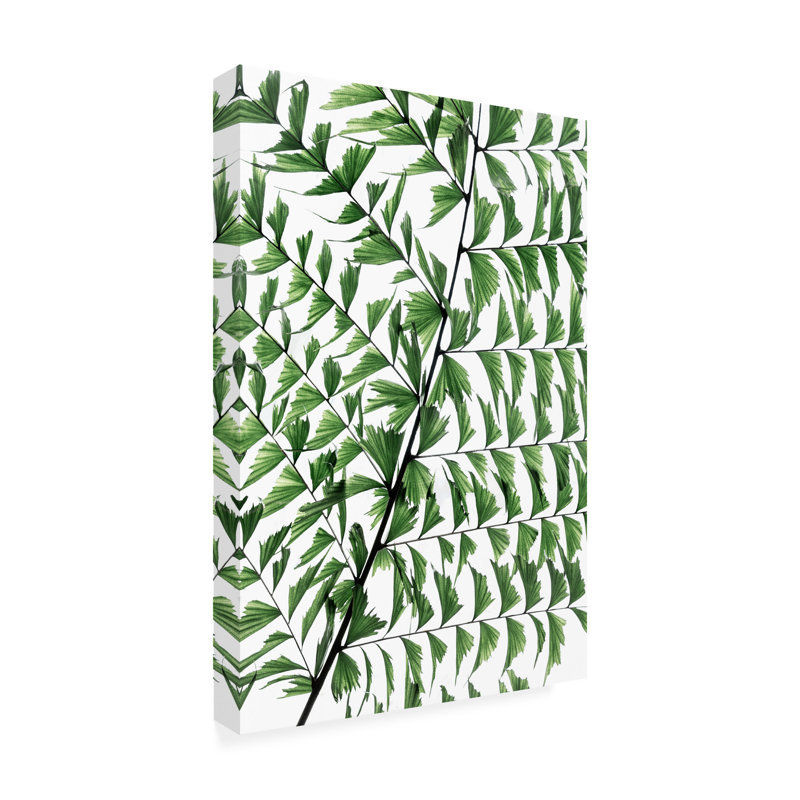 Art sur toile, branches de bologle bolognais, H 12 po x l 19 po