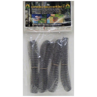 Metal Plant Support