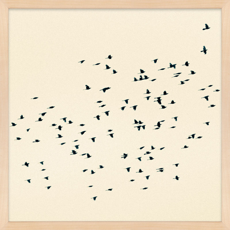 Soaring by Peter Dušek, Brown, 24" H x 24" W x 1.25" D